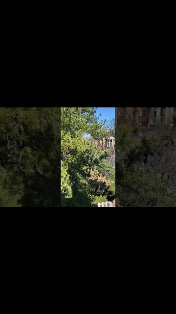 3 dead, multiple injured, after a gunman opened fire at the Covenant School in Nashville, Tennessee.