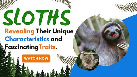 Sloths, Revealing Their Unique Characteristics and Fascinating Traits.