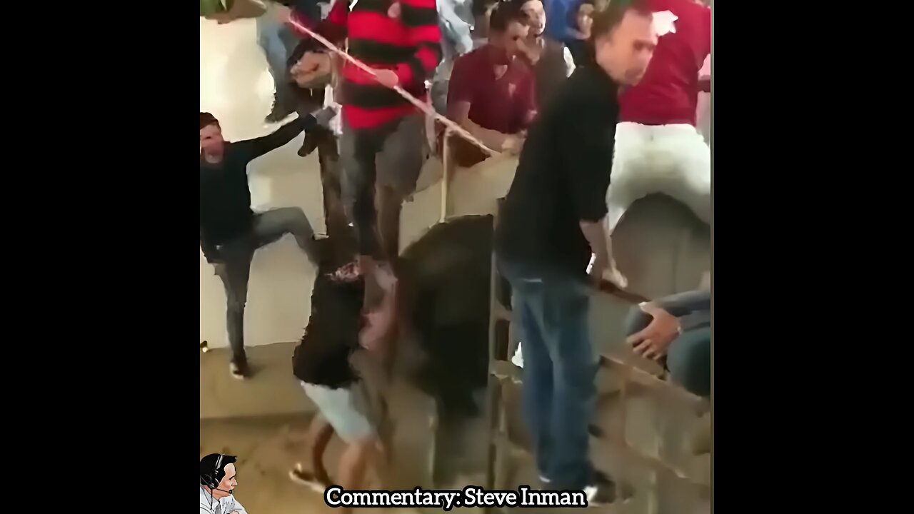 Coward vs. Bull