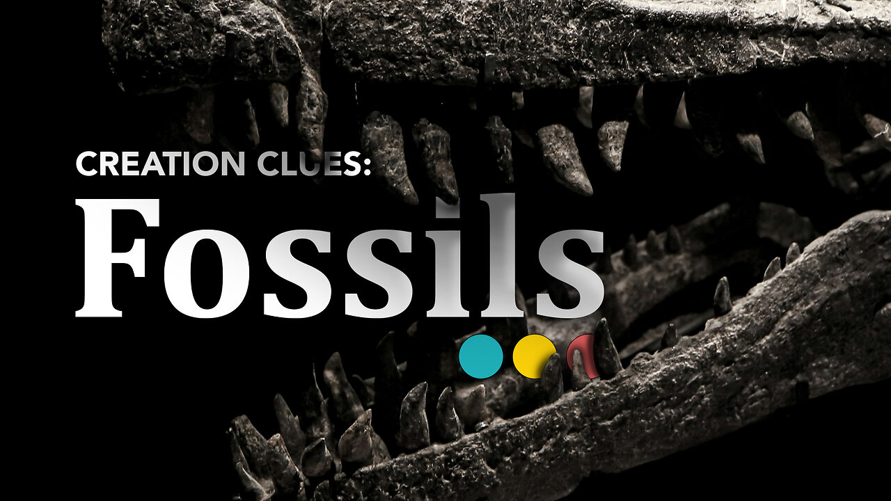 What’s the deal with fossils? [CREATION CLUES S01E06]