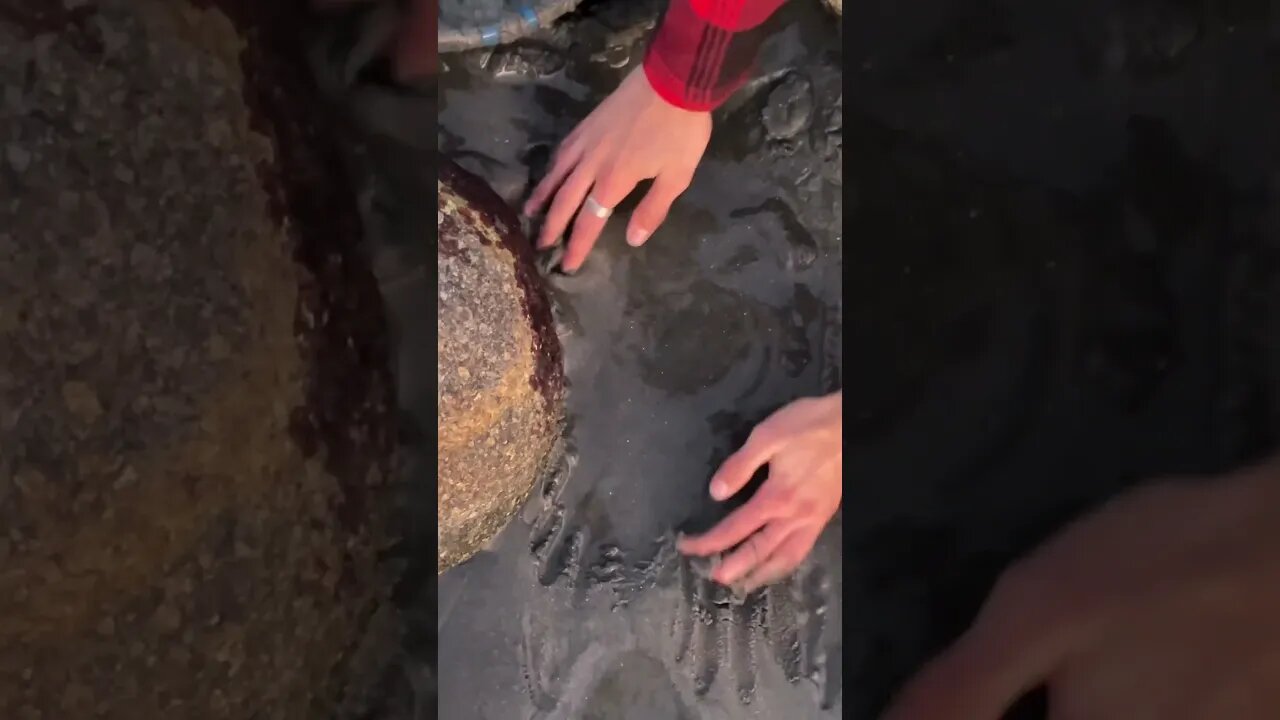 Gold panning in quartz sand! Can we find gold?