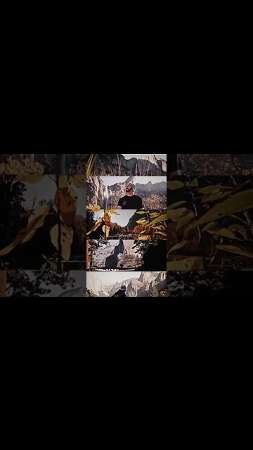 Yosemite is insane #shorts #cinematography #videography