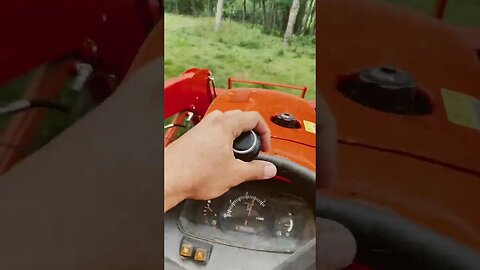 Kubota L3301 mowing | #farmlife #homesteading #kunekune #scottishhighlands #kubota