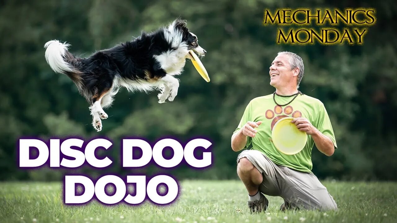 🐶🥏⛩️DiscDog Dojo #75 | Tune Up Your Jam on Mechanics Monday🔧⚙️