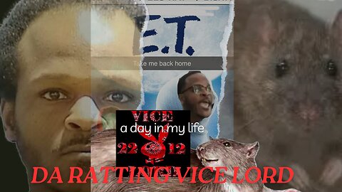 THE RATTING VICE LORD, DON'T RUN NOW, LET'S TALK ABOUT IT