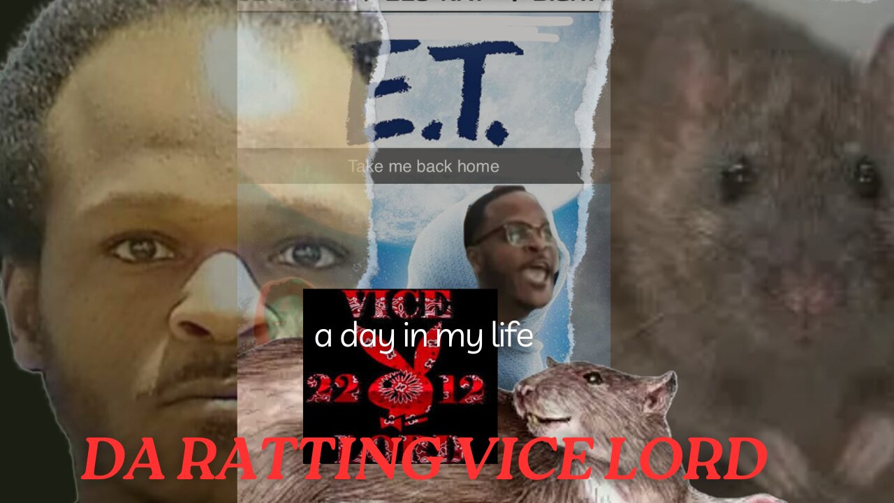 THE RATTING VICE LORD, DON'T RUN NOW, LET'S TALK ABOUT IT