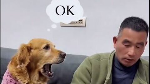When the dog was not given food, he got angry and then another dog helped him.