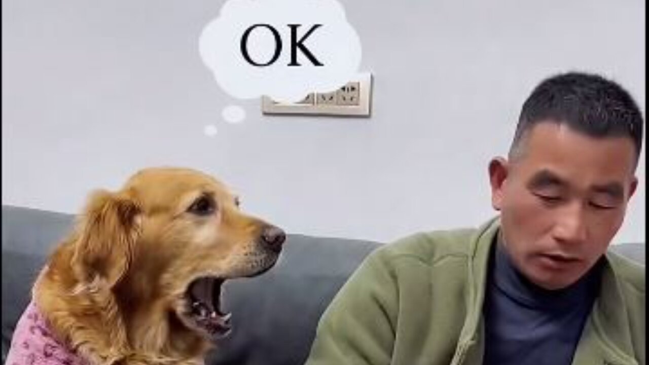 When the dog was not given food, he got angry and then another dog helped him.