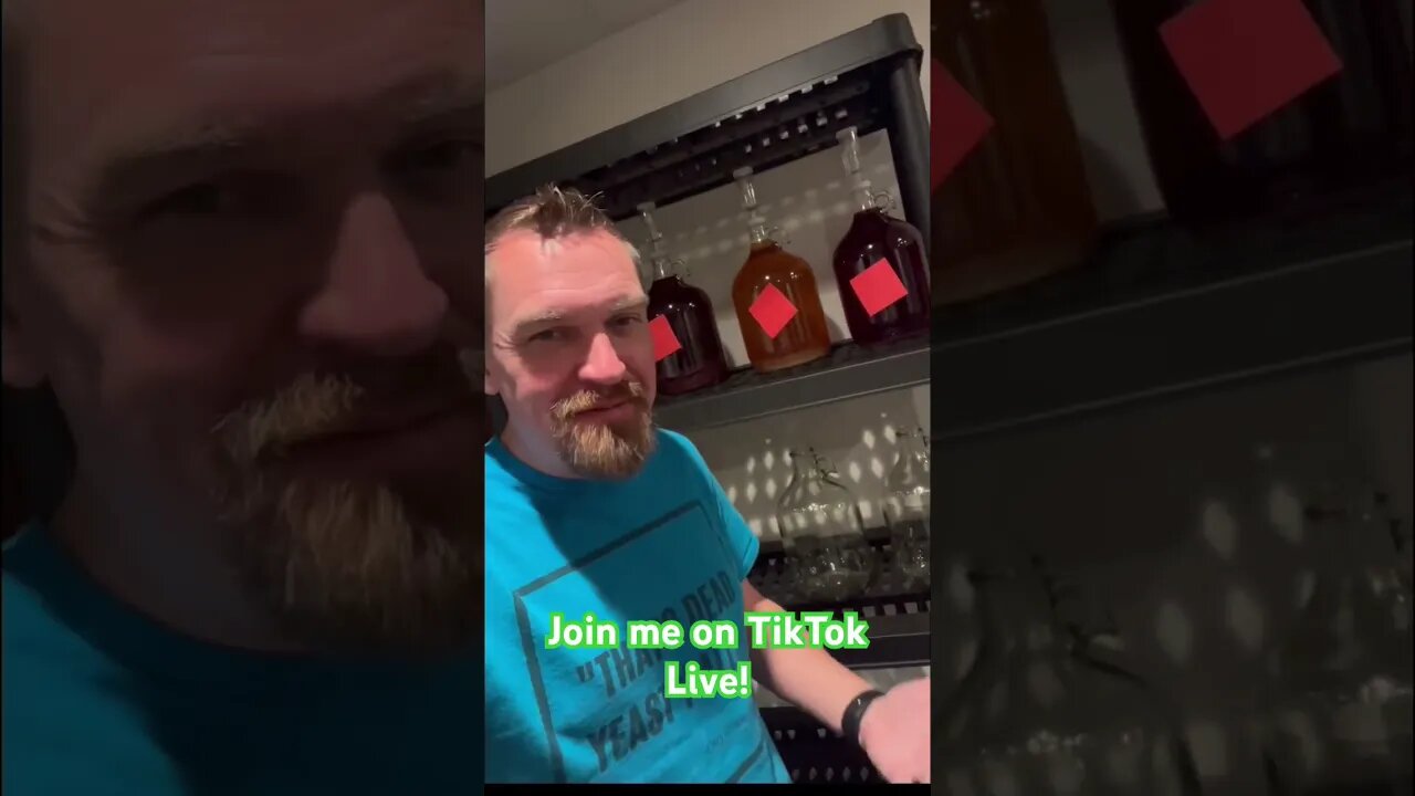 Join me on TikTok Live! #mead #honeywine #tiktok