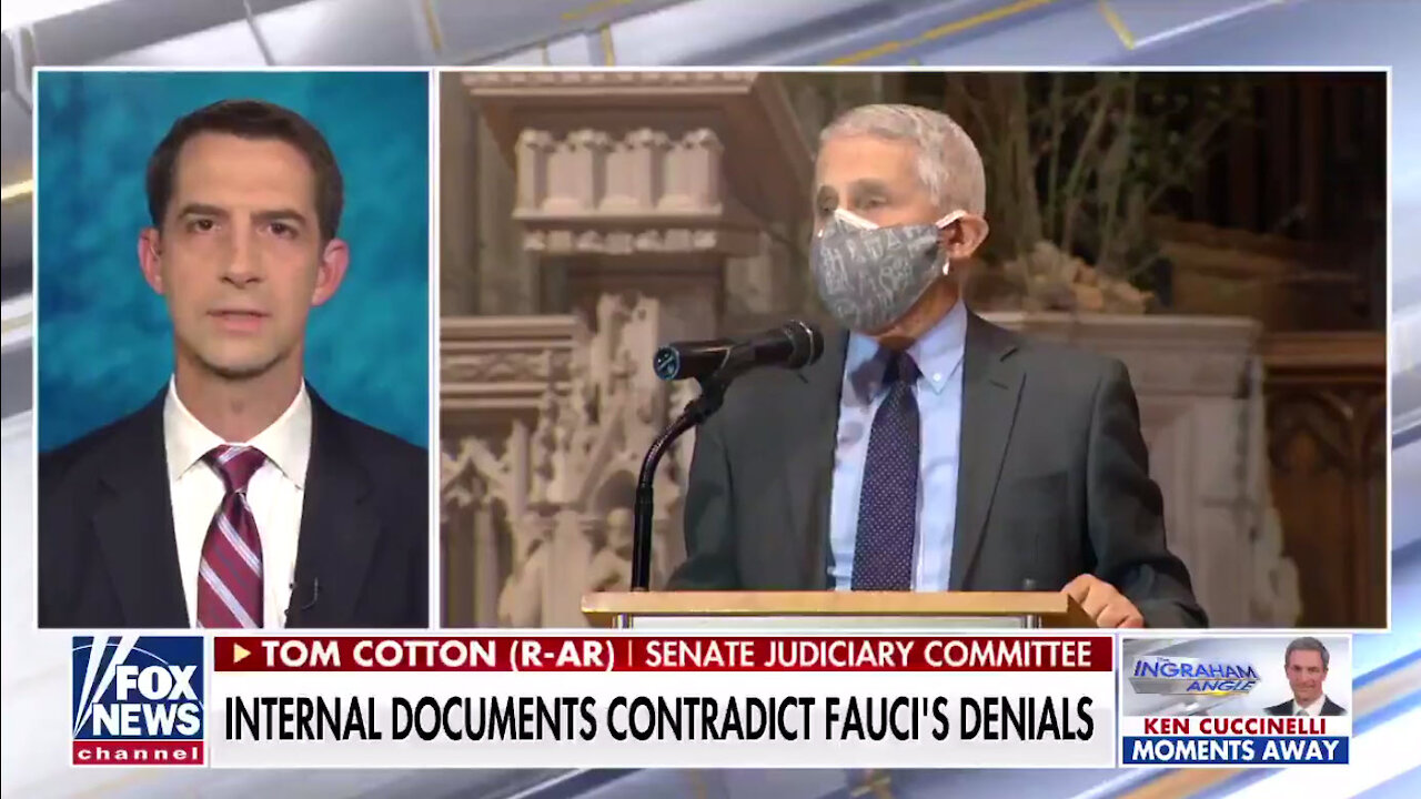 Senator Tom Cotton doesn't hold back on Fauci