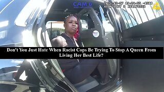 Im A Black Mom Of 2 & Tired Of Racist White Cops Harassing Me While Im Peacefully Trying To Steal!