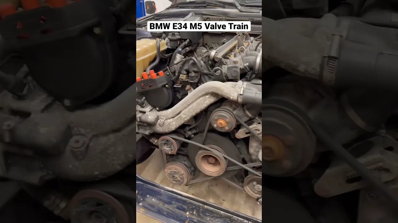 BMW E34 M5 Valve Train #shorts #bmw #diy #bmwm5 #bmwe34 #automotive #restoration #cars #engine