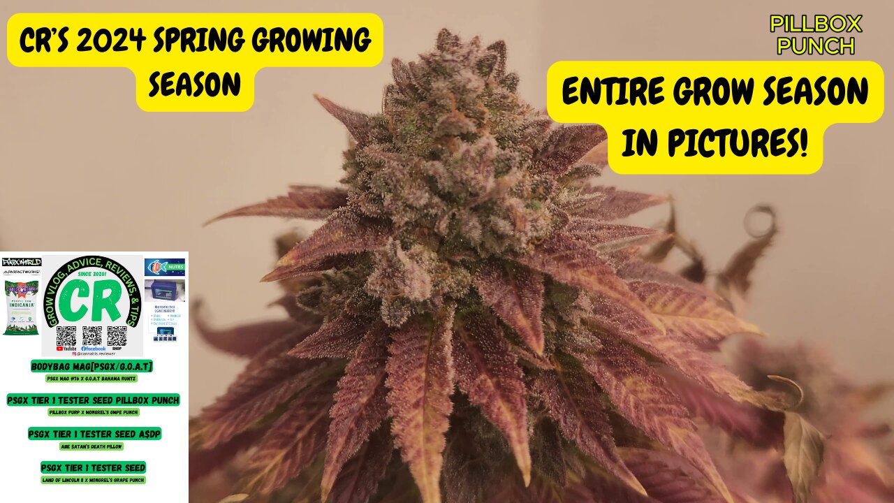 CR's 2024 Spring Growing Season - 2024Spring Grow Season From Seeds to Cure!