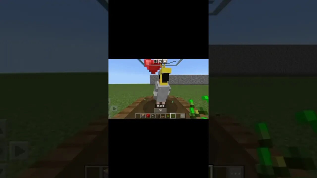 minecraft shorts viral