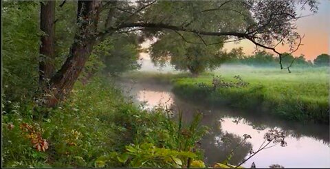 The Myth of Overpopulation | Paradise Stolen | A Brief Look at the Data