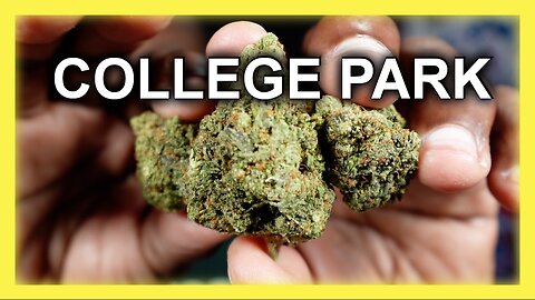 COLLEGE PARK | THCA | DR GANJA