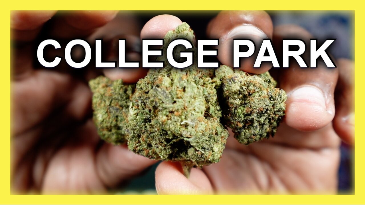 COLLEGE PARK | THCA | DR GANJA