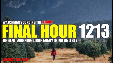 FINAL HOUR 1213 - URGENT WARNING DROP EVERYTHING AND SEE - WATCHMAN SOUNDING THE ALARM