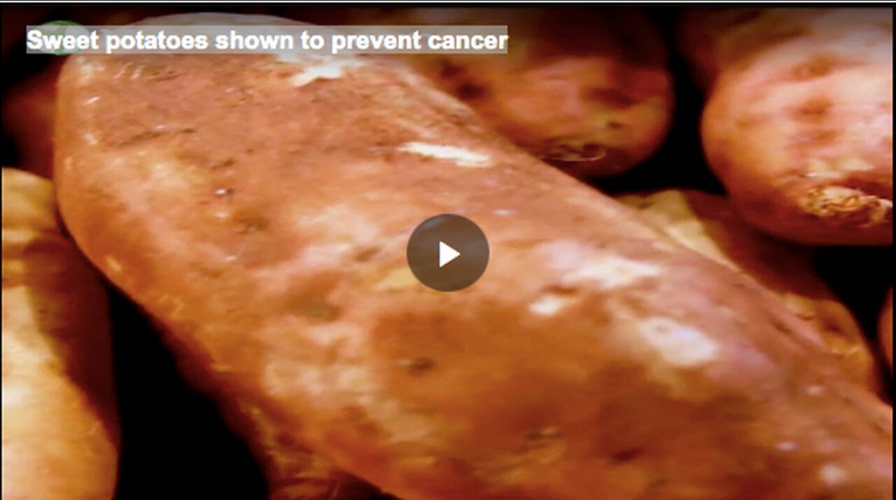 Sweet potatoes shown to prevent cancer