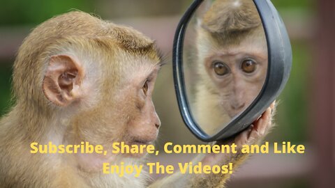 Multiple direct rocket hits on a Russian tank #shorts