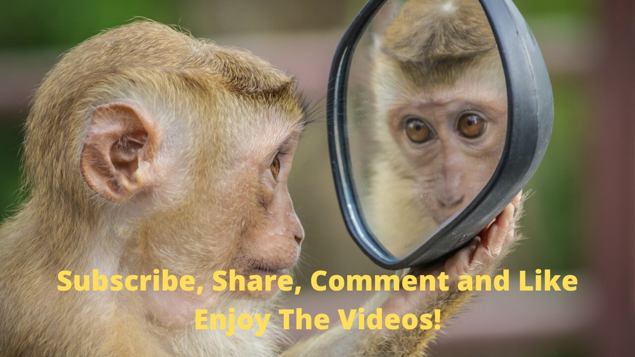 Multiple direct rocket hits on a Russian tank #shorts