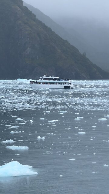 Glacier Kenai National Park Fjords Alaska