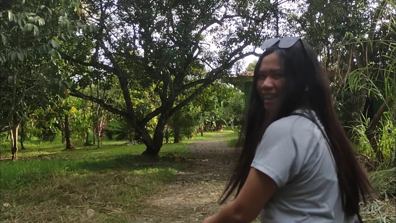 Receiving Mangosteen Presents at the VH Farm! | A Foreigner in the Philippines | Province Life