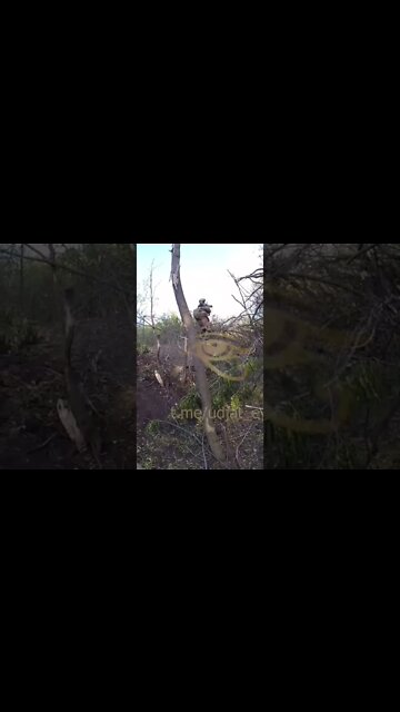 #war #russia #weapon #azovstal #russian #chechen