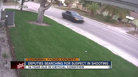 Detectives search for gunman after juvenile shot in head in drive-by in Port Richey