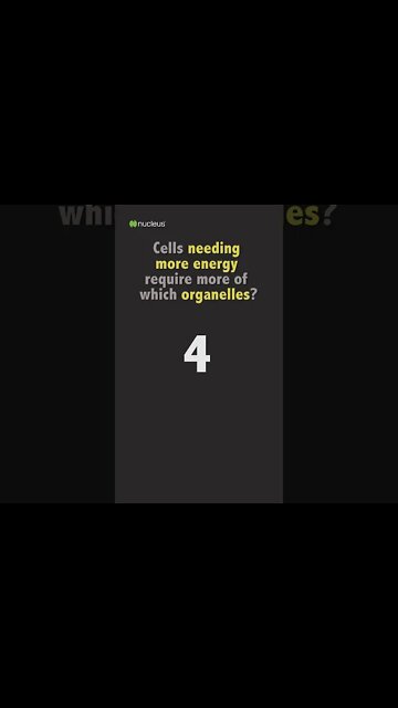 Biology Quiz: Cells needing more energy require more of which organelles?