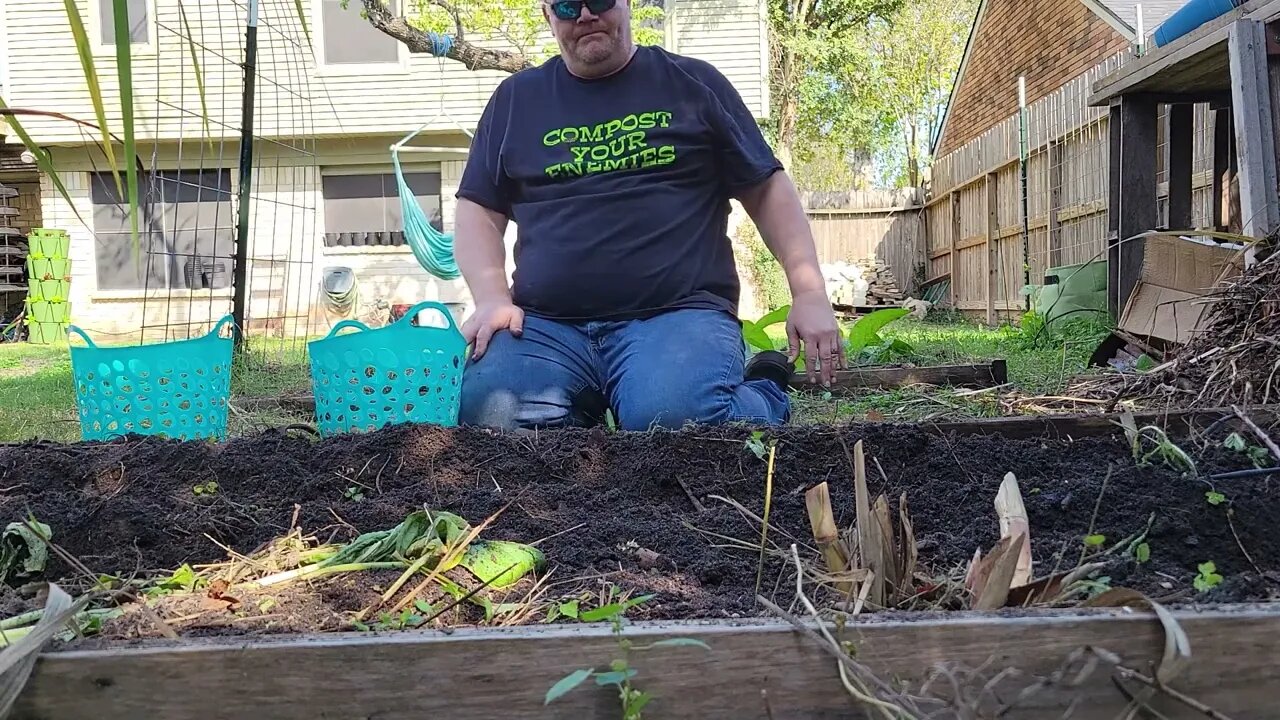Episode 20: The Next Great Potato Experiment