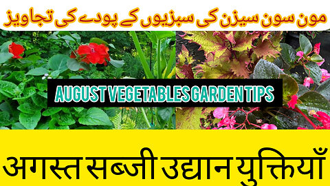 Garden growing tips epic homesteading how do we start terrace