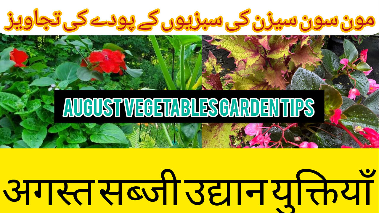 Garden growing tips epic homesteading how do we start terrace