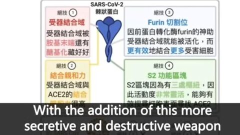 Interesting Video Discusses The Engineering of the Spike Protein to Damage Body Organs