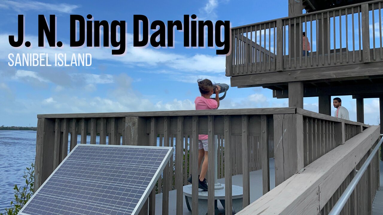 Exploring J.N. "Ding" Darling National Wildlife Refuge | Nature's Hidden Gem on Sanibel Island