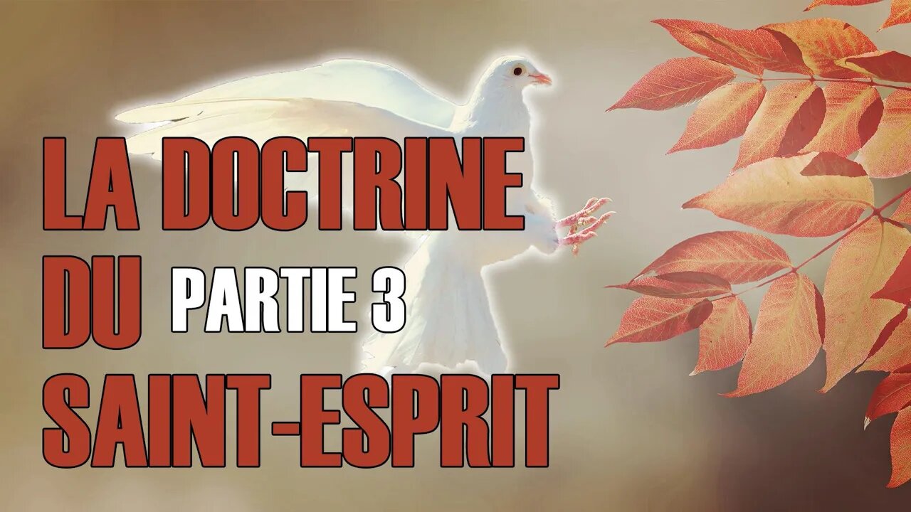 La doctrine du Saint-Esprit, partie 3 - Olivier Dubois