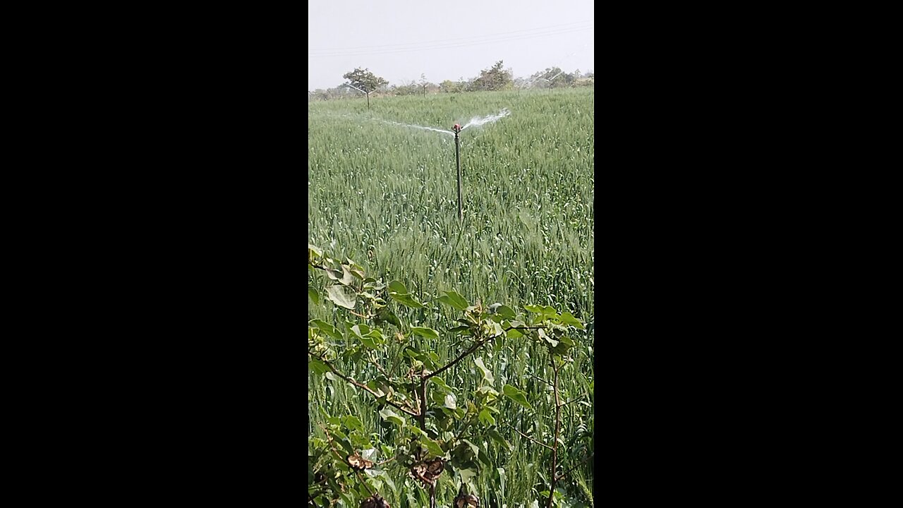 farmers farming Shetkari