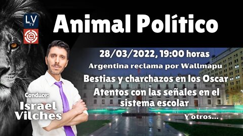 Animal Político: Argentina reclama por Wallmapu / bestias y charchazos en los Oscar / Y más...