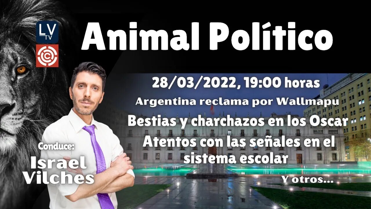 Animal Político: Argentina reclama por Wallmapu / bestias y charchazos en los Oscar / Y más...