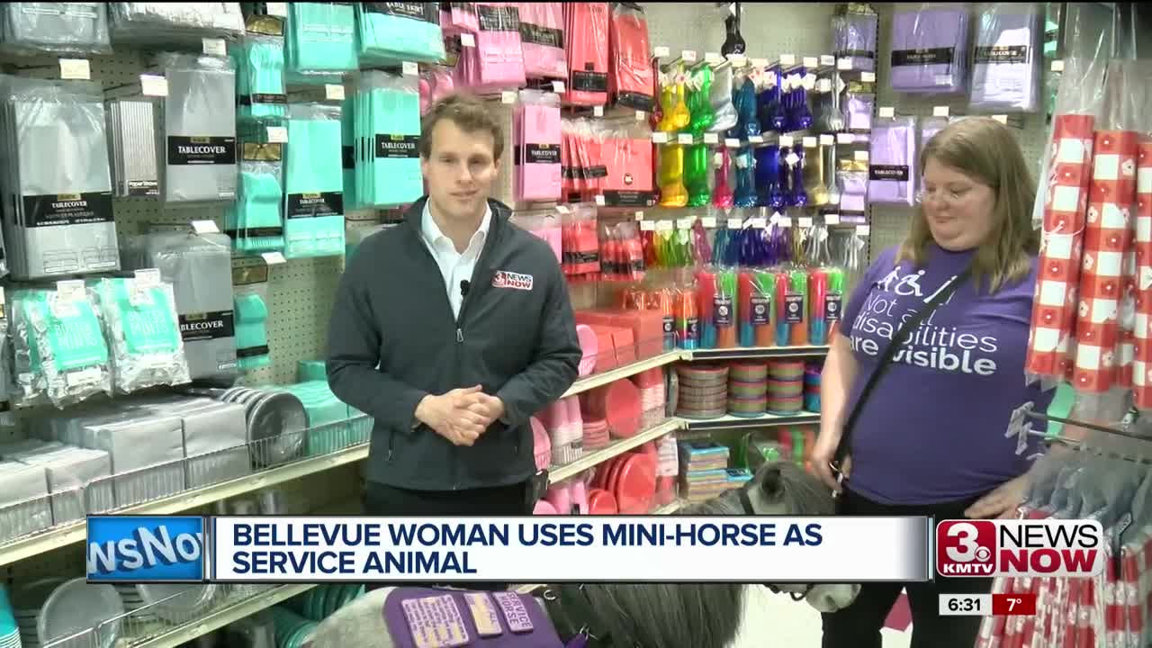 Bellevue woman copes with disability using a mini-horse as service animal