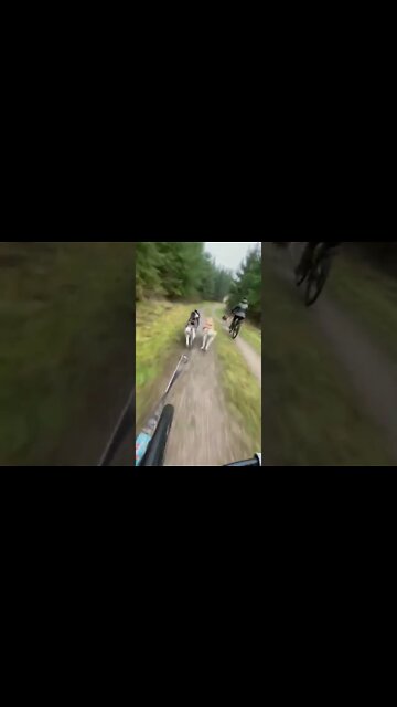 what happens when you lost sight of your path ? , # short