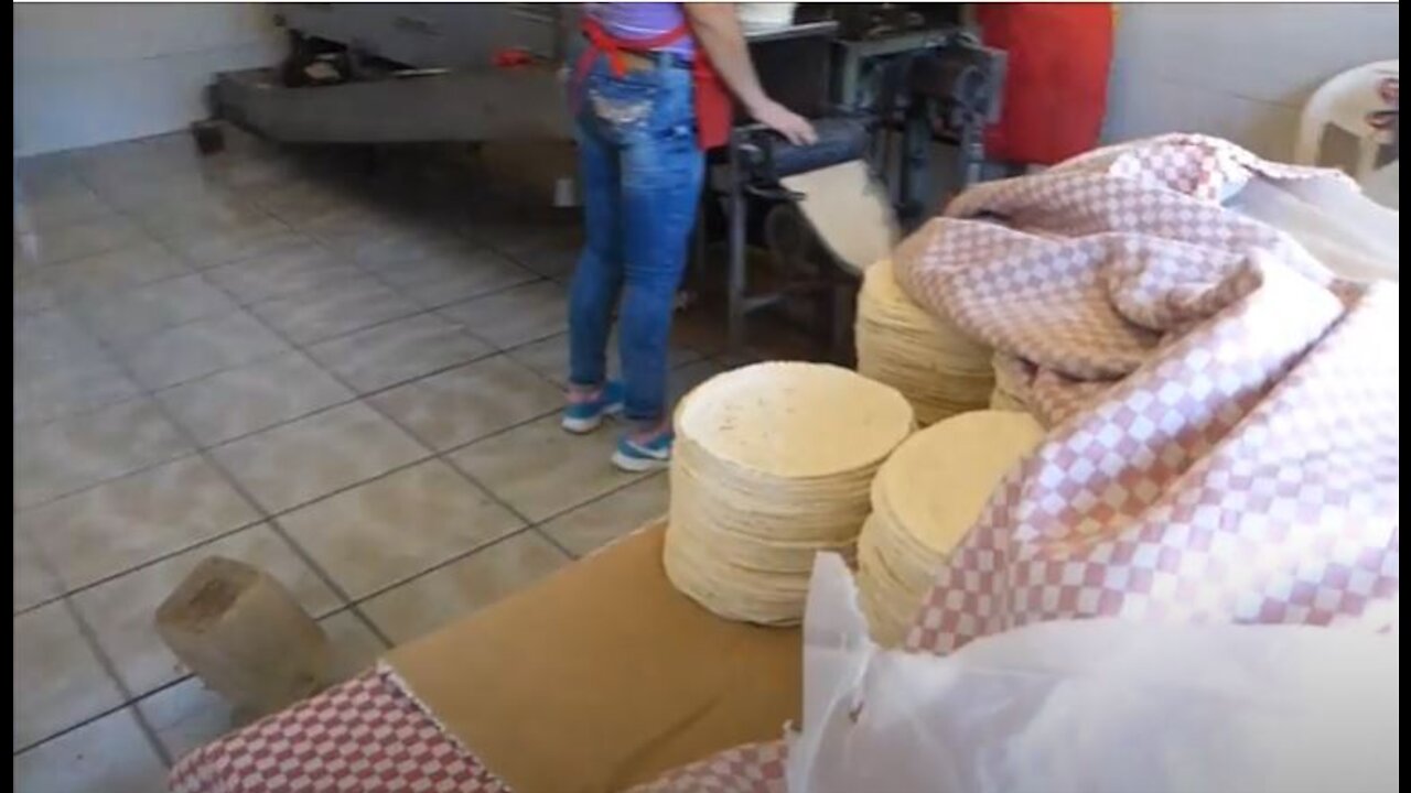 Tortilla Factory Chapala, Mexico Watch them being made!