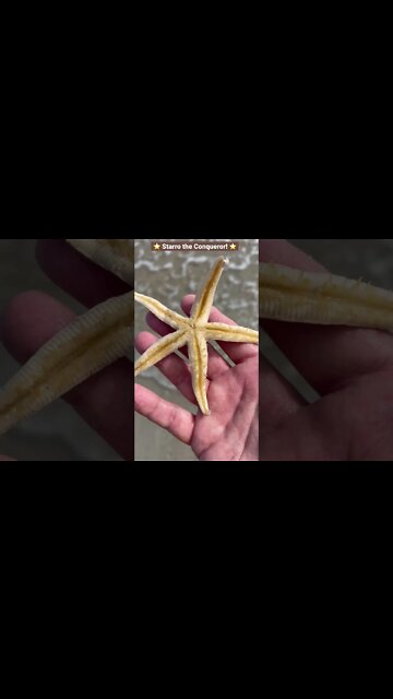 Starro the Conqueror, Conquered!