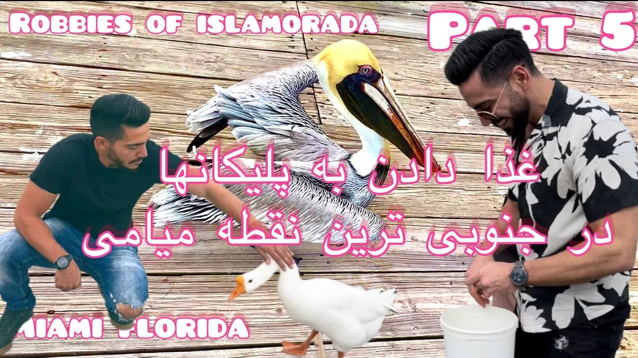 میامی فلوریدا قسمت پنجم-Miami Florida part 5🇺🇸