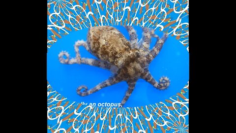 You are really an octopus: Lives holding others, drops poison! [Quotes and Poems]