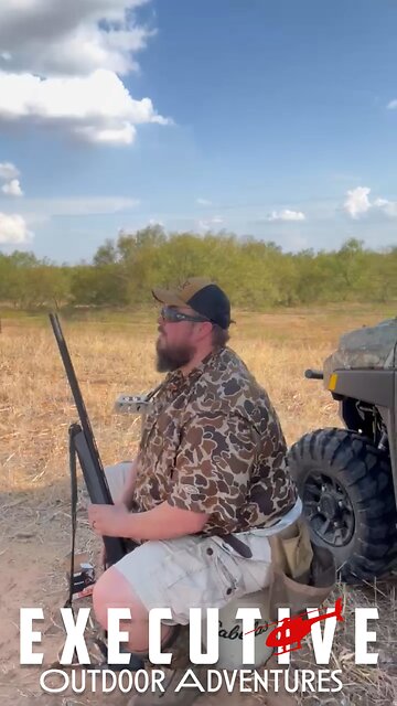 Had to scare it off because it got to close!!