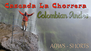 Cascada La Chorrera - Colombia - AOWS SHORTS