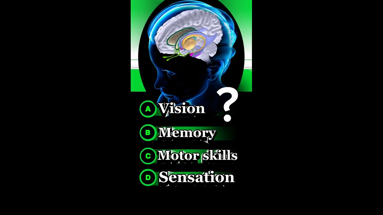 Brain anatomy mcqs #brain #vision -#memory #moterskills #3dmedico