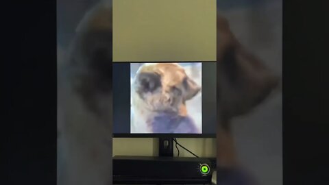 哈哈哈