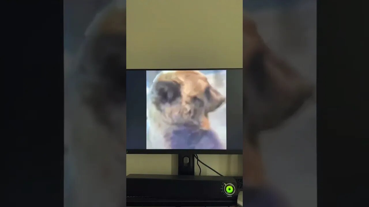 哈哈哈